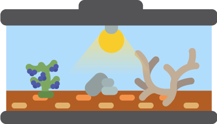 DMZ Terrarium assets
