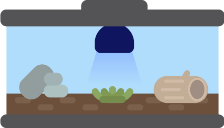 DMZ Terrarium assets