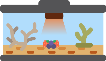 DMZ Terrarium assets